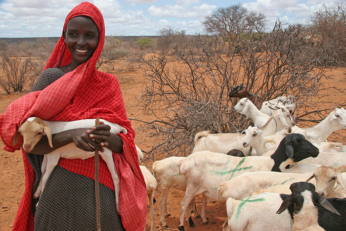 Kirkens Nødhjelp deler ut geiter til mennesker som er rammet av tørke og sult. Geiter gir mat og inntekt.