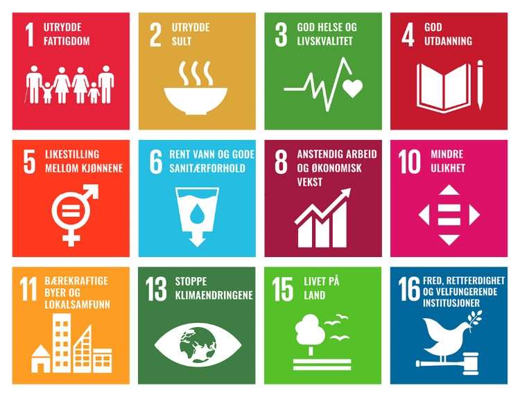 bilde av bærekraftsmålene til FN