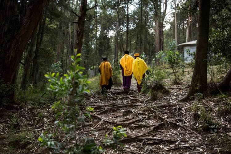 Mennesker som går i skogen iført gule klær