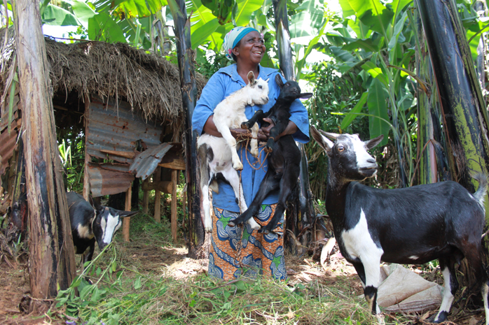 Mapatano M’murunda, 57 år, fra Ciburi, Walungu, Kongo, med sine geitekje og geitemoren.