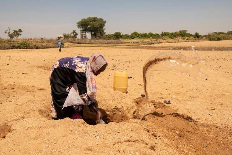I Darfur i Sudan må 25 år gamle Habiba grave frem drikkevannet sitt fra en tørr elv. Habiba blir syk av det skitne vannet hun må dele med geiter og andre dyr. Foto: Håvard Bjelland/Kirkens Nødhjelp. 