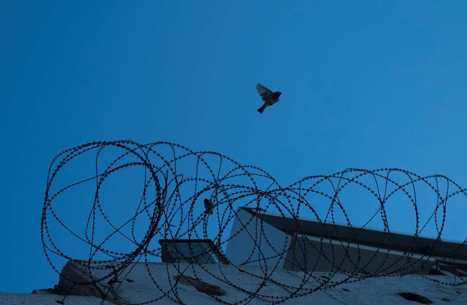 Bilde viser en due som flyr over en mur. 