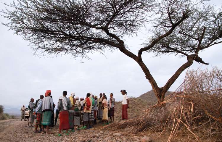 Mange mennesker som står samlet ute under et tre i Etiopia
