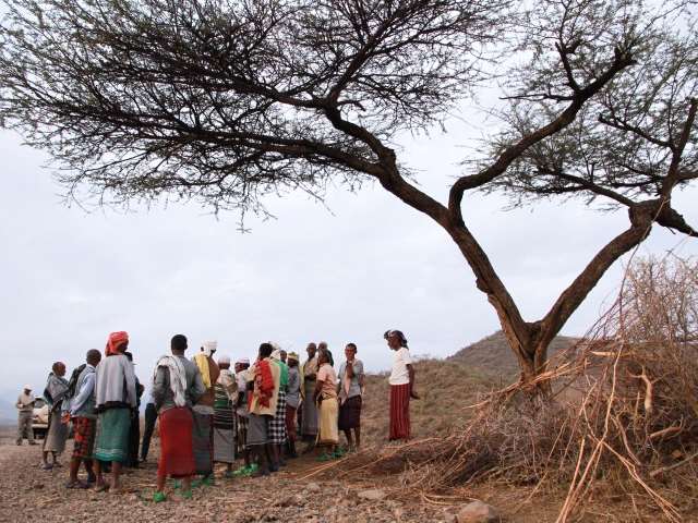 Mange mennesker som står samlet ute under et tre i Etiopia