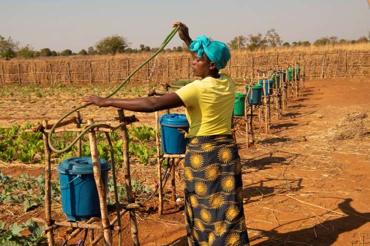 En kvinne som jobber med vann og jordbruk. Foto: Kirkens Nødhjelp. 