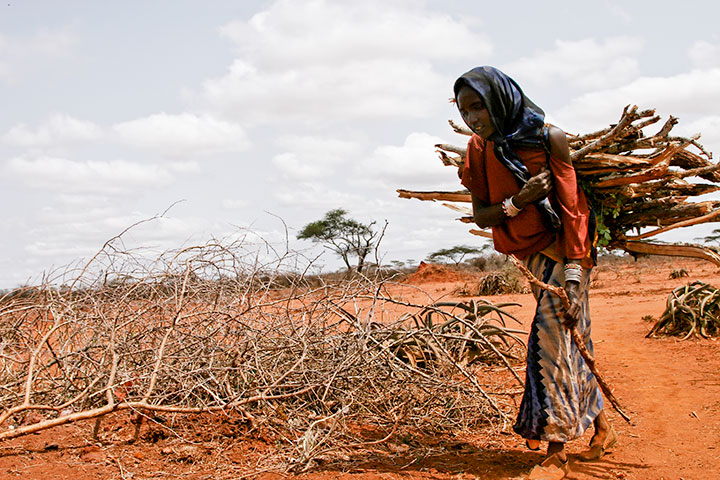 Hver dag går kvinner på Afrikas Horn mange kilometer for å samle vann og ved. Denne kvinnen samler ved i Borena distriktet sør i Etiopia. Foto:Paul Jeffrey / ACT Alliance