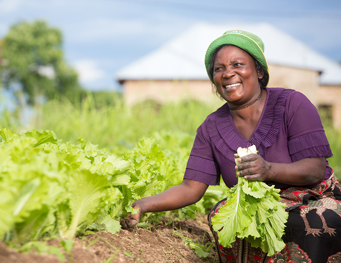 Elizabeth Mpigauzi fra Chunya i Tanzania er enke med fire barn. Tidligere levde hun på mindre enn 20 kroner dagen. Etter under ett år har Elizabeth anlagt 13 grønnsaksbed, og med fire innhøstinger i året, tjener hun nå godt over 100 kroner dagen. Hun har hittil investert totalt 950 kroner i grønnsaksproduksjonen sin, og de løpende kostnadene er på under 10 %. ALLE FOTO: Alpha Kapola/Kirkens Nødhjelp