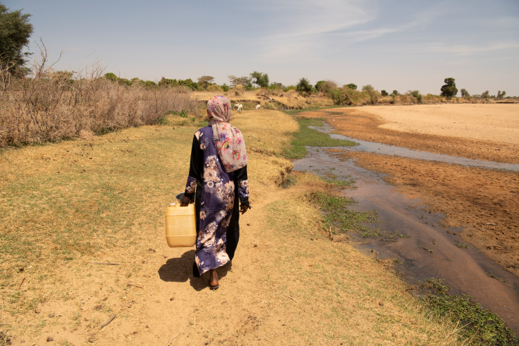 Habiba Adam Adam (25) fra den lille landsbyen Treij i Darfur i Sudan bruker to timer på eselryggen hver eneste dag for å hente vann. Drikkevannet må hun grave frem fra en tørr elv. De som bor i hennes landsby får merke klimaendringene på kroppen. Regntiden har gått fra å være pålitelig, til å være uforutsigbart. I fjor kom det så mye regn at det ble flom og avlinger gikk tapt. Nå er alt tørt og det er umulig å få plantet frø. Foto: Kirkens Nødhjelp. 