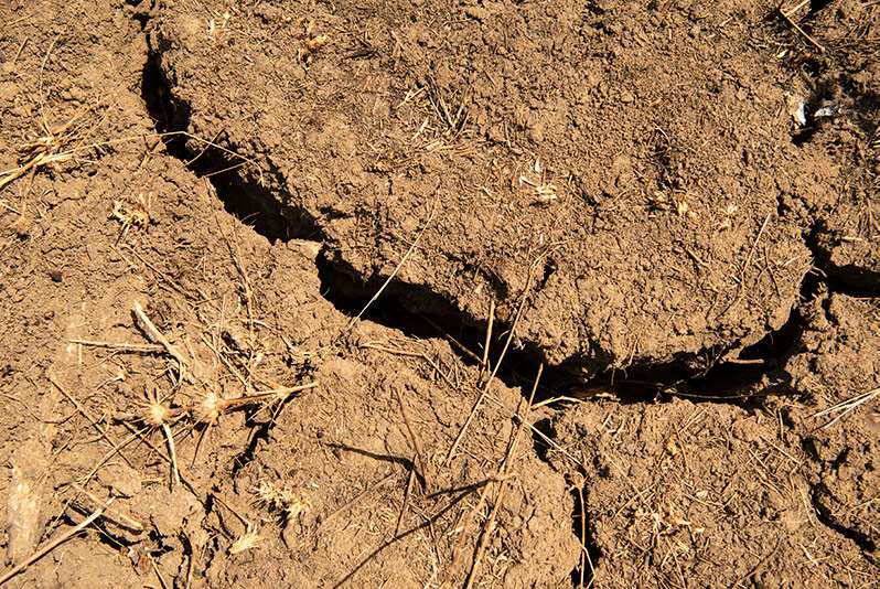 bilde av tørt område som symboliserer tørke som en konsekvens av global oppvarming