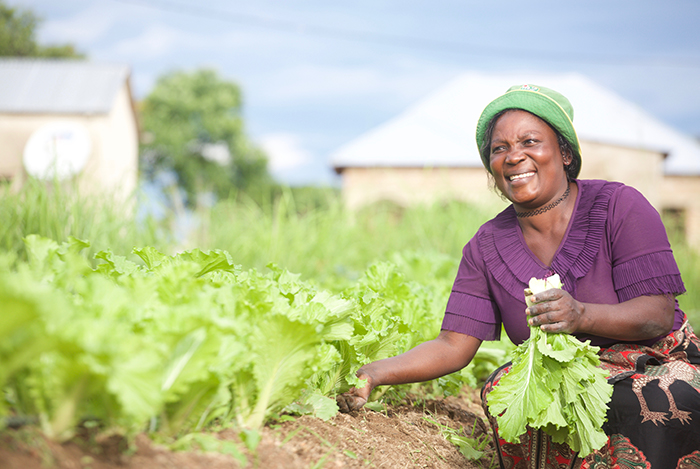 Elizabeth Mpigauvi is currently earning USD 15 per day from her micro-investments in Veggie. Photo: Alpha Kapola / Norwegian Church Aid, Tanzania.