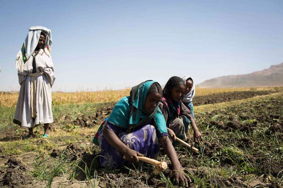Kvinner som jobber i Etiopia