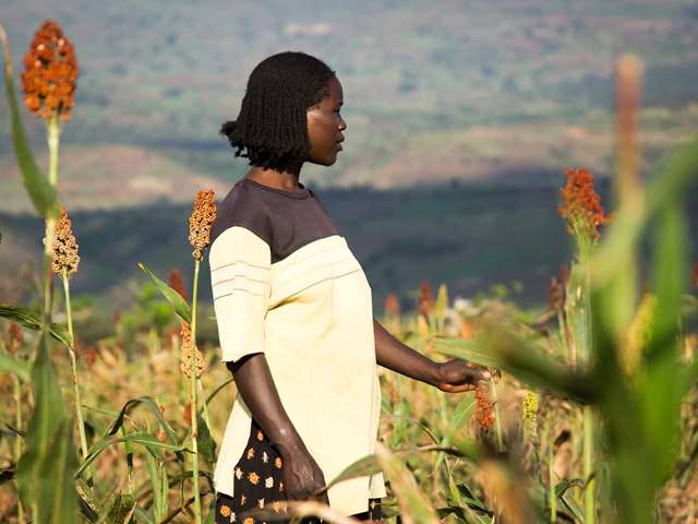 kvinne i Etiopia 