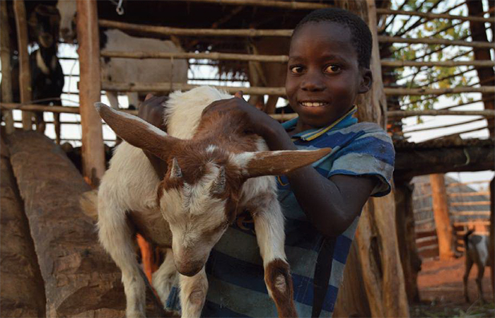 Kirkens Nødhjelps geiter forandrer liv i Zambia.