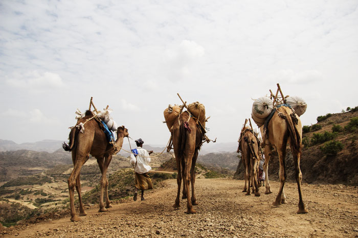 I 2016 så mange det som nødvendig å flytte for å kunne få tilgang på mat i Etiopia.
